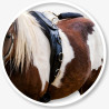 Shetty / Pony Longiergurt / Doppellongengurt